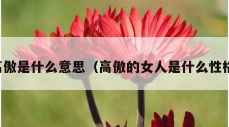 高傲是什么意思（高傲的女人是什么性格）