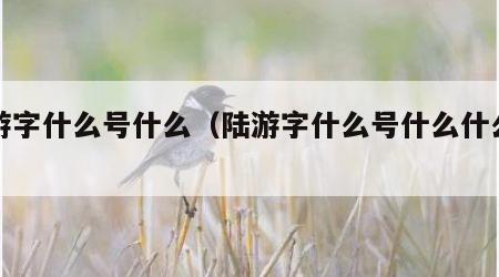 陆游字什么号什么（陆游字什么号什么什么诗人）