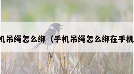 手机吊绳怎么绑（手机吊绳怎么绑在手机壳）