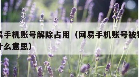 网易手机账号解除占用（网易手机账号被锁定是什么意思）