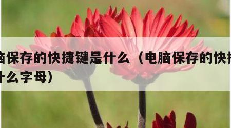 电脑保存的快捷键是什么（电脑保存的快捷键是什么字母）