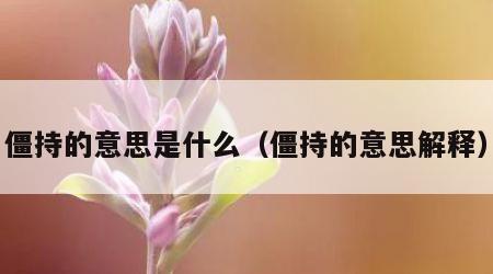 僵持的意思是什么（僵持的意思解释）