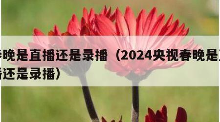 春晚是直播还是录播（2024央视春晚是直播还是录播）