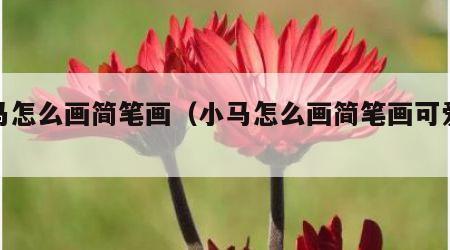 小马怎么画简笔画（小马怎么画简笔画可爱版的）