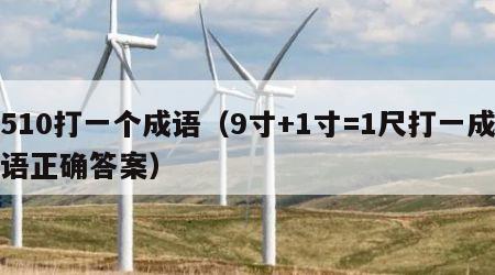 510打一个成语（9寸+1寸=1尺打一成语正确答案）