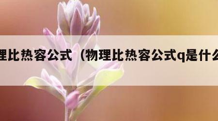 物理比热容公式（物理比热容公式q是什么意思）