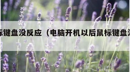 鼠标键盘没反应（电脑开机以后鼠标键盘没反应）