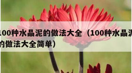 100种水晶泥的做法大全（100种水晶泥的做法大全简单）