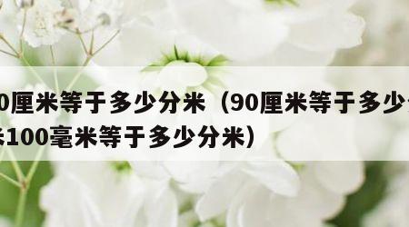 90厘米等于多少分米（90厘米等于多少分米100毫米等于多少分米）