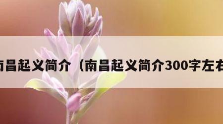 南昌起义简介（南昌起义简介300字左右）