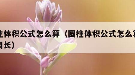 圆柱体积公式怎么算（圆柱体积公式怎么算圆的周长）