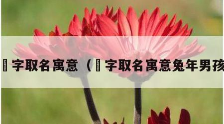 芃字取名寓意（芃字取名寓意兔年男孩）