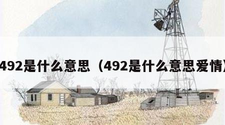 492是什么意思（492是什么意思爱情）