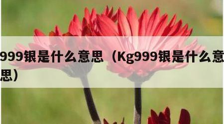 999银是什么意思（Kg999银是什么意思）