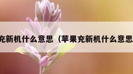 充新机什么意思（苹果充新机什么意思）