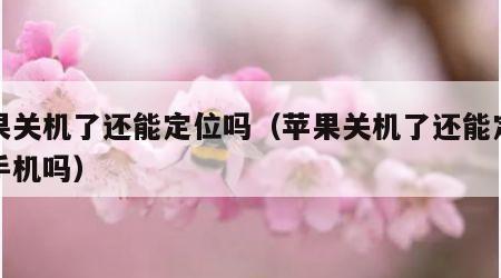 苹果关机了还能定位吗（苹果关机了还能定位到手机吗）