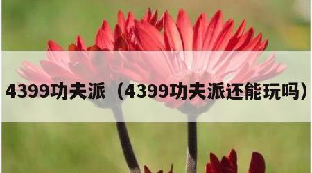 4399功夫派（4399功夫派还能玩吗）