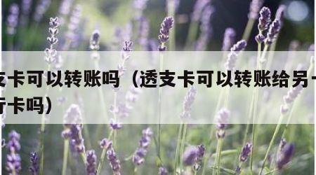 透支卡可以转账吗（透支卡可以转账给另一个银行卡吗）