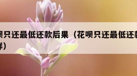 花呗只还最低还款后果（花呗只还最低还款会怎样）