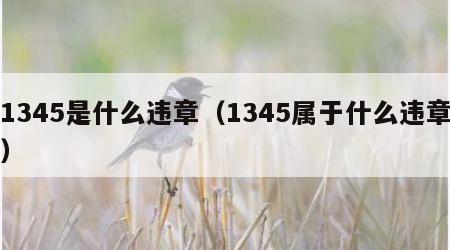 1345是什么违章（1345属于什么违章）