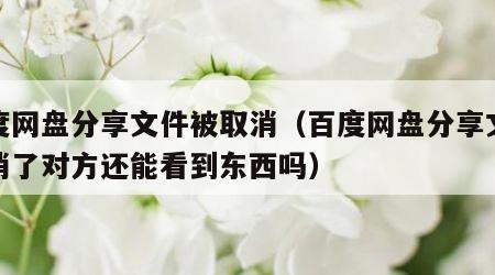 百度网盘分享文件被取消（百度网盘分享文件取消了对方还能看到东西吗）