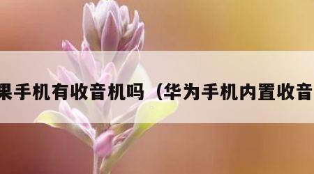 苹果手机有收音机吗（华为手机内置收音机）