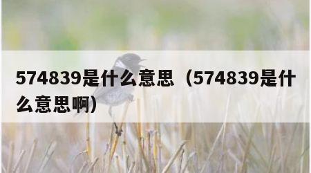 574839是什么意思（574839是什么意思啊）