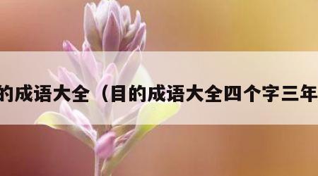 目的成语大全（目的成语大全四个字三年级）