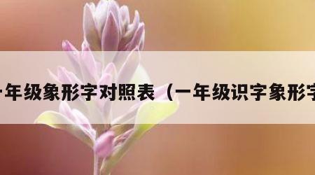 一年级象形字对照表（一年级识字象形字）