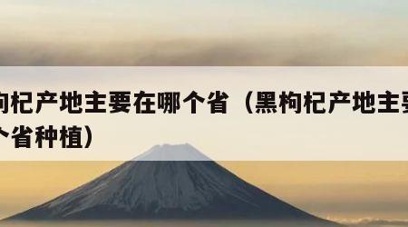 黑枸杞产地主要在哪个省（黑枸杞产地主要在哪个省种植）