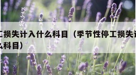 停工损失计入什么科目（季节性停工损失计入什么科目）