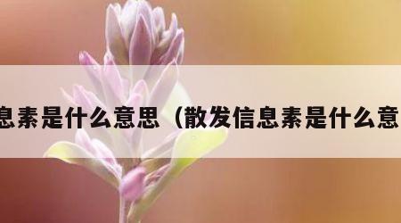 信息素是什么意思（散发信息素是什么意思）