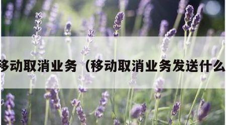 移动取消业务（移动取消业务发送什么）