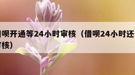 借呗开通等24小时审核（借呗24小时还在审核）