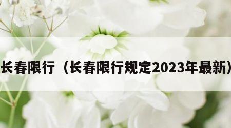 长春限行（长春限行规定2023年最新）