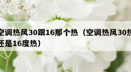 空调热风30跟16那个热（空调热风30热还是16度热）