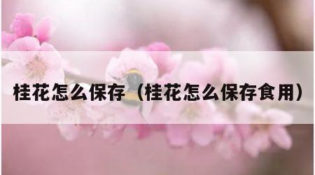 桂花怎么保存（桂花怎么保存食用）