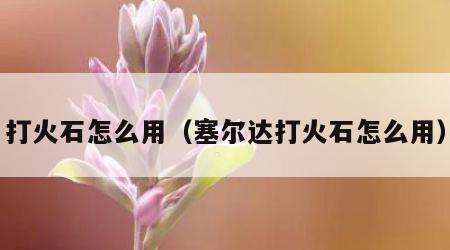 打火石怎么用（塞尔达打火石怎么用）