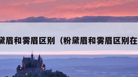 粉黛眉和雾眉区别（粉黛眉和雾眉区别在哪）