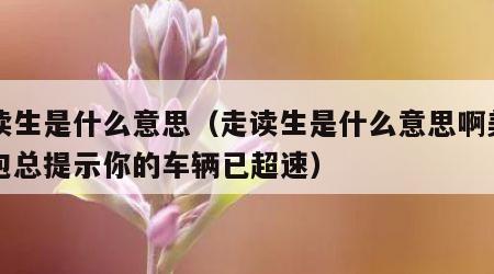 走读生是什么意思（走读生是什么意思啊美团众包总提示你的车辆已超速）