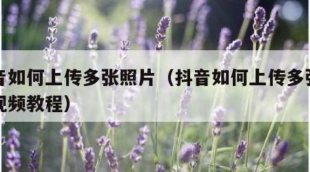 抖音如何上传多张照片（抖音如何上传多张照片视频教程）