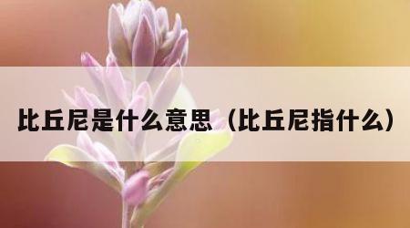 比丘尼是什么意思（比丘尼指什么）