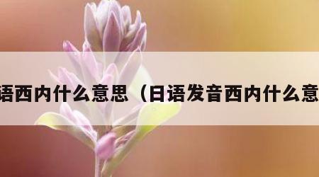 日语西内什么意思（日语发音西内什么意思）