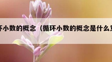 循环小数的概念（循环小数的概念是什么意思）