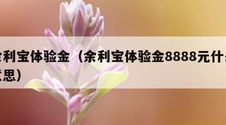 余利宝体验金（余利宝体验金8888元什么意思）