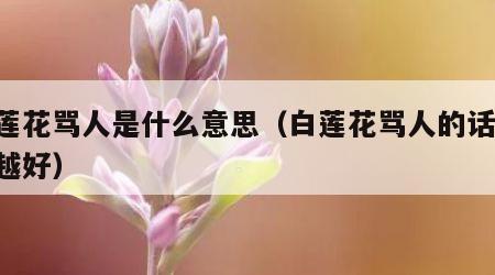 白莲花骂人是什么意思（白莲花骂人的话 越毒越好）