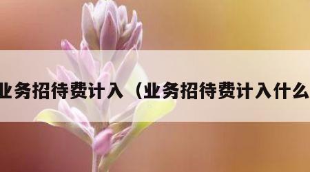 业务招待费计入（业务招待费计入什么）