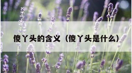 傻丫头的含义（傻丫头是什么）