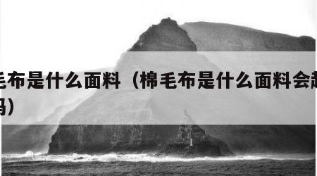 棉毛布是什么面料（棉毛布是什么面料会起毛球吗）