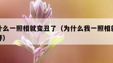 为什么一照相就变丑了（为什么我一照相就特别胖）